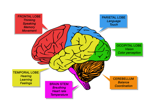 frontotemporal-dementia-causes-and-symptoms-carehome-co-uk-advice